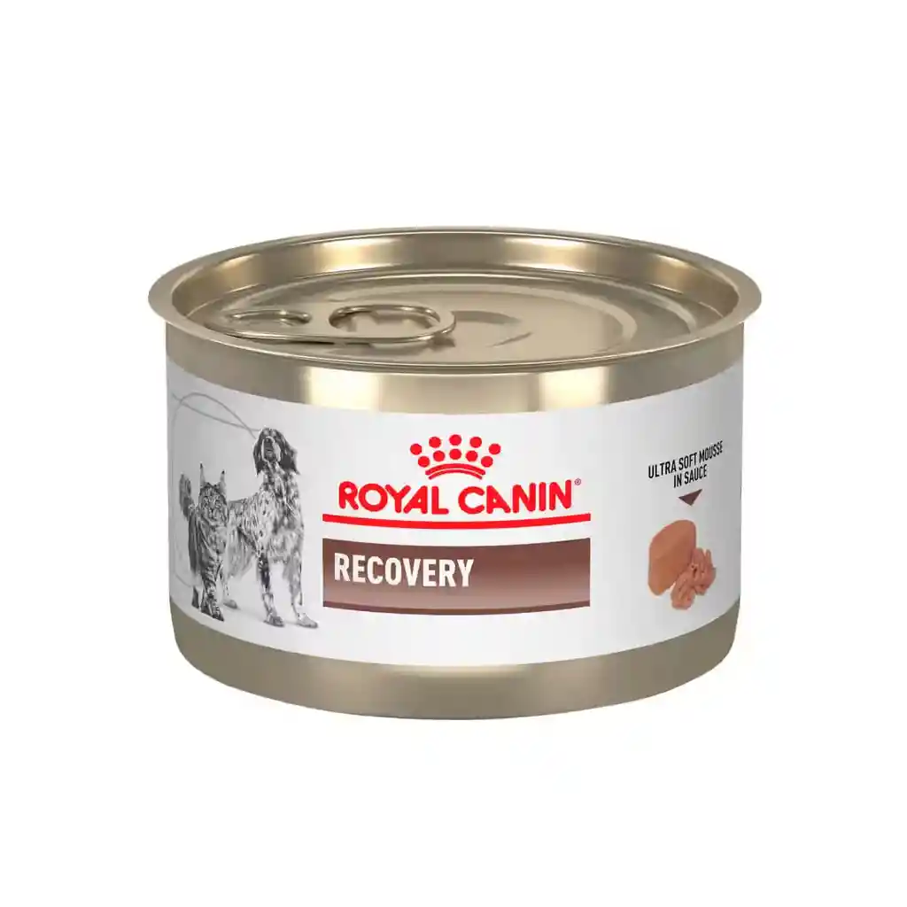 Royal Canin Recovery Lata A/d 145 Gr Para Perros Y Gatos