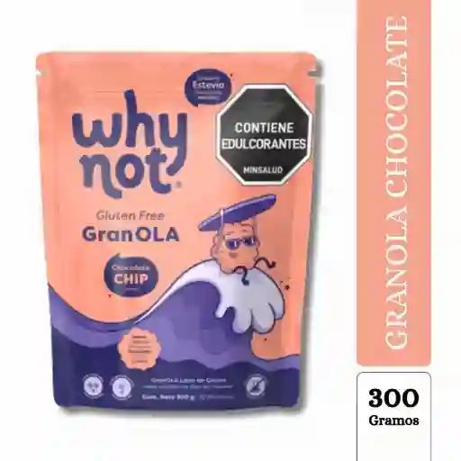 Granola Chocolate Chip Paranice