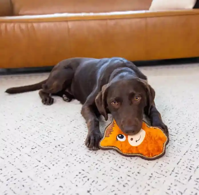 Outward Hound Peluche Ts Granja Caballo