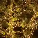 Luces Navideñas Solares Exteriores Navidad Led Solar 10 Mts Amarilla