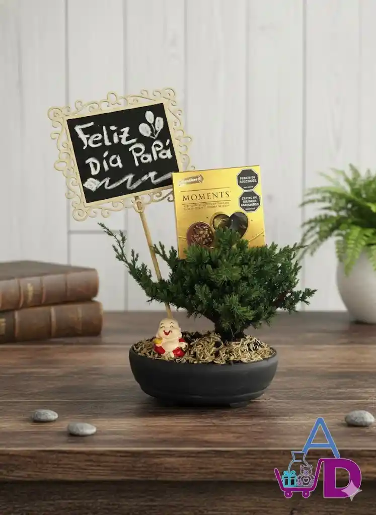 Bonsái Tablero Y Chocolates 🍫✨