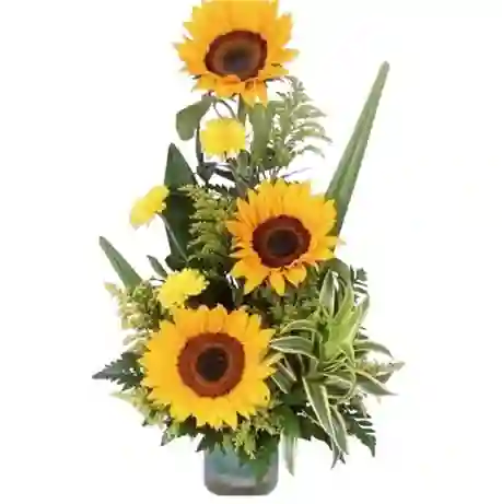 Mix De Girasoles