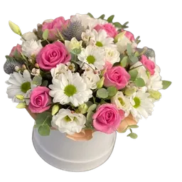 Caja Primavera Radiante