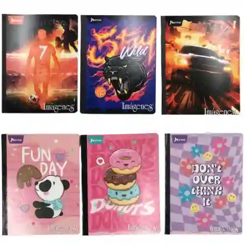 Cuaderno Cosido 100h Norma Imágenes Cuadros Masculino-femenino