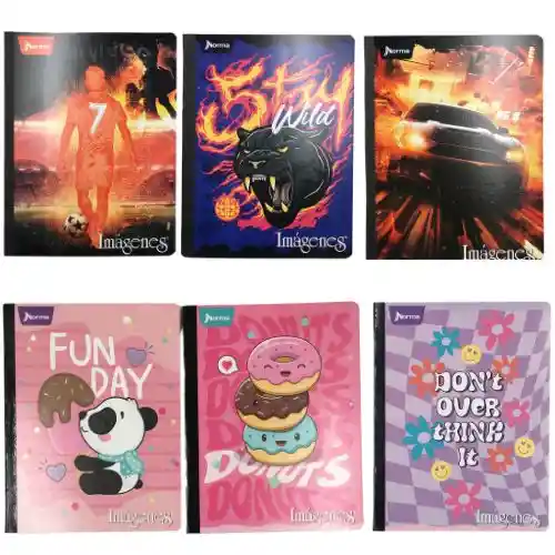 Cuaderno Cosido 100h Norma Imágenes Cuadros Masculino-femenino