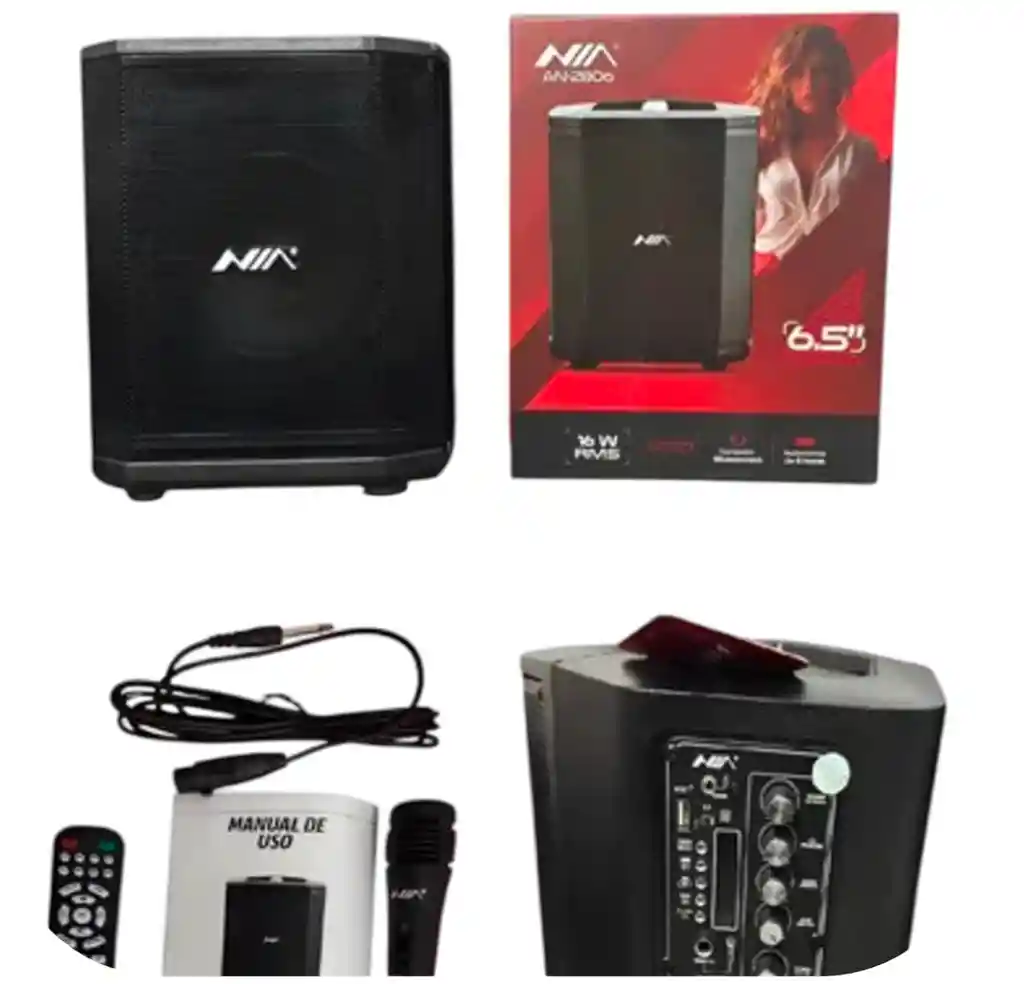 Parlante Bafle Equipo De Sonido Para Fiestas Cabina Tipo Bosse Nia