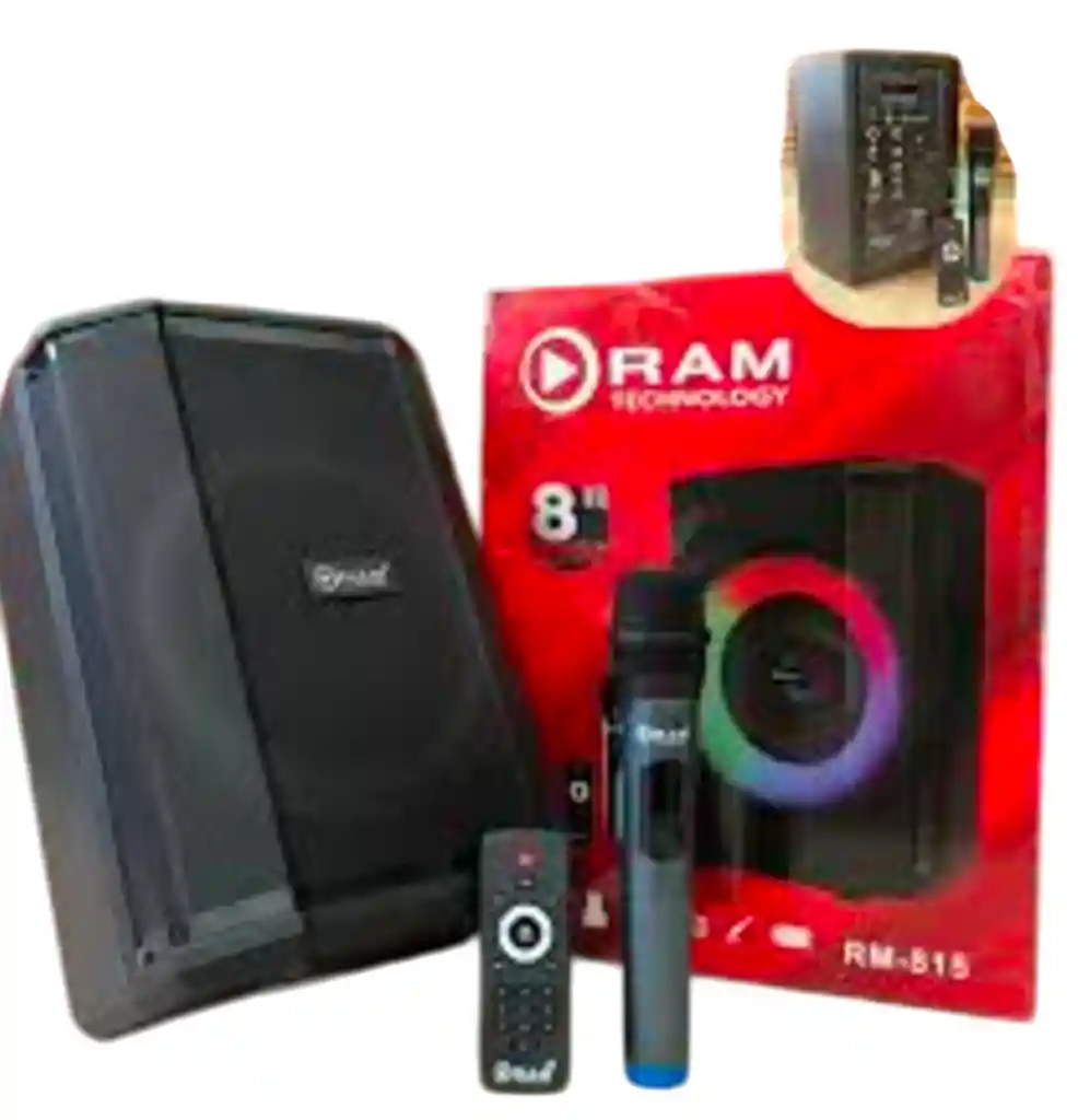 Parlante Bafle Equipo De Sonido Para Fiestas Cabina Ram Tipo Bosse