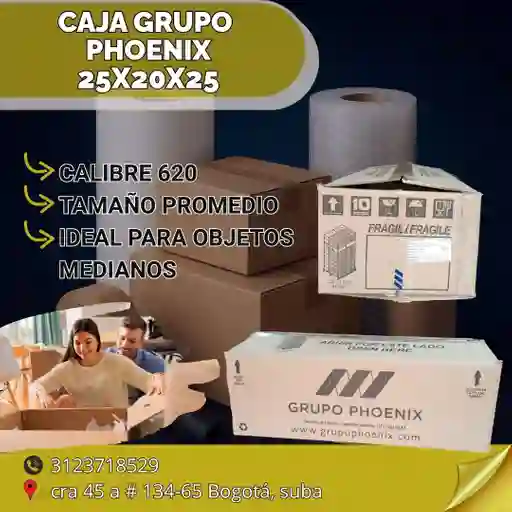 Caja Grupo Phoenix - 55x30x20