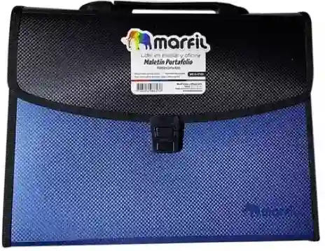 Archivador (13) Bolsillos O Compartimientos-en Tamaño Carta