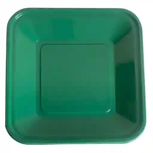 Platos Plasticos Verdes Cuadrados 23 Cms X 10 Unds
