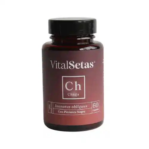 Cápsulas De Chaga Vitalsetas