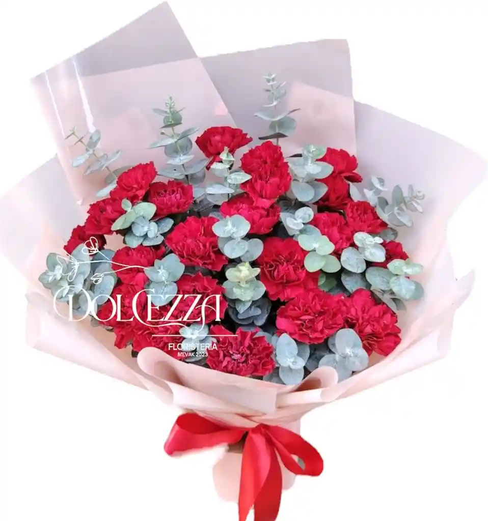 Flores Claveles Rojos