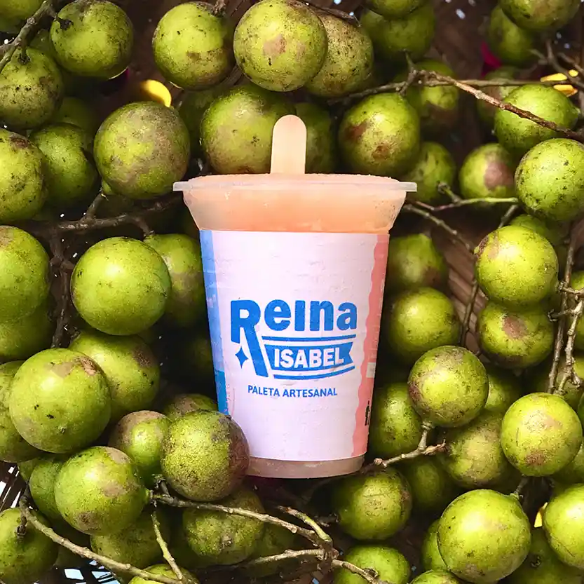 Paleta De Mamoncillo