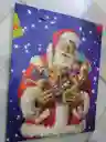 Bolsa De Regalo Navidad Papa Noel Con Dulces Mediana 32 Cm X 25 Cm