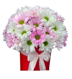 Caja Primavera Rosada