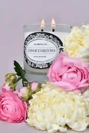 Conocimiento Vela Perfumada (peonía Silvestre)