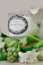 Entendimiento Vela Perfumada (flores Blancas)