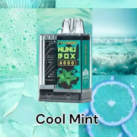Vape Nunu 6000 Puffs Cool Mint