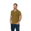 Camiseta Polo Slim Fit Verde/mostasa