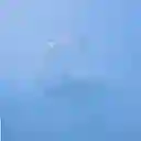 Miami Resq Visualpack Tapa Baja X Unidad