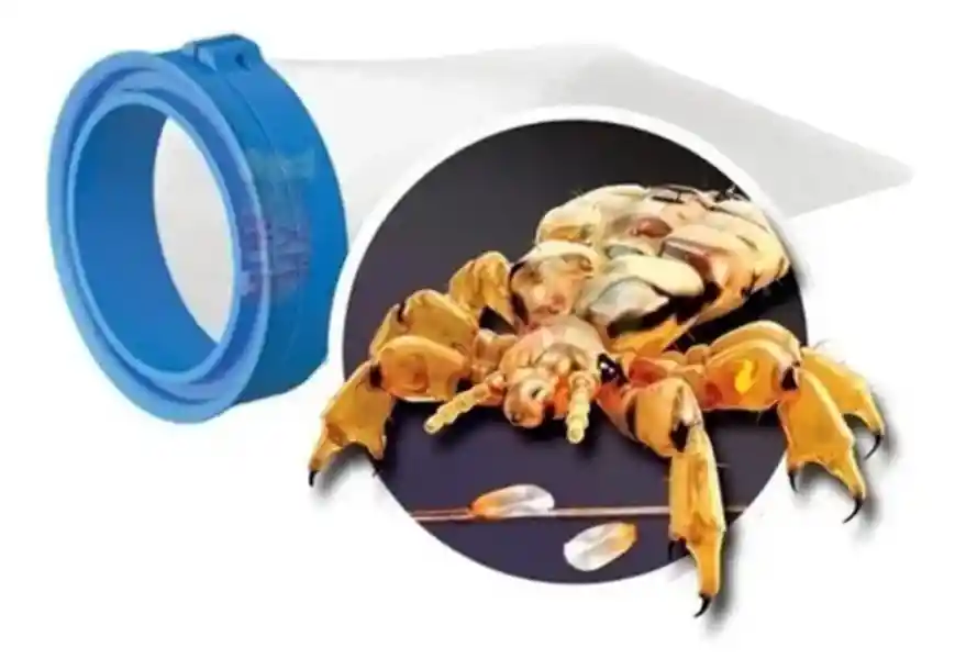 Peine Eléctrico Jorginstore Jrs-pio Aspiradora Dientes Acero Para Piojos