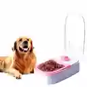 Comedero De Mascotas Con Sensor