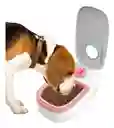 Comedero De Mascotas Con Sensor