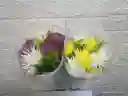 Oferta Enflores Fulli Con Follaje Por Solo $$$
