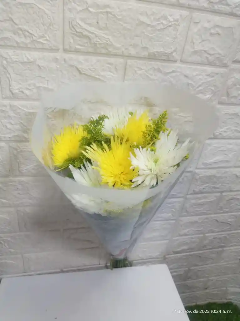 Oferta Enflores Fulli Con Follaje Por Solo $$$