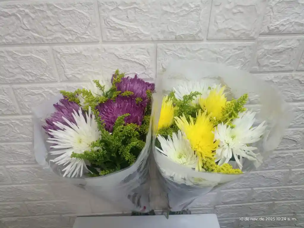 Oferta Enflores Fulli Con Follaje Por Solo $$$