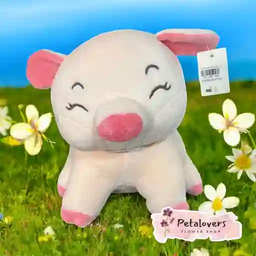 Peluche Cerdito