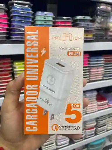 Cargador V8 | Premium | 5 Amperios | Cargador Completo | Adaptador + Cable