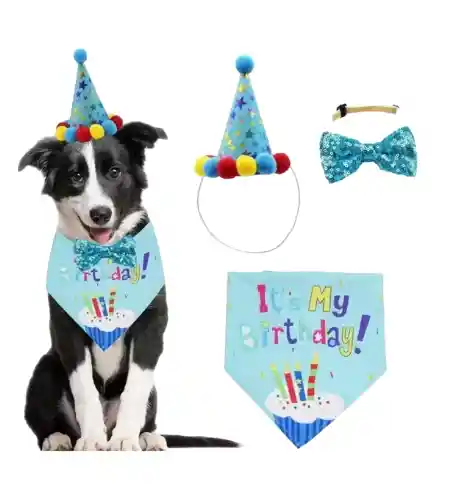Cumpleaños Para Mascotas Set 3 Piezas Talla G