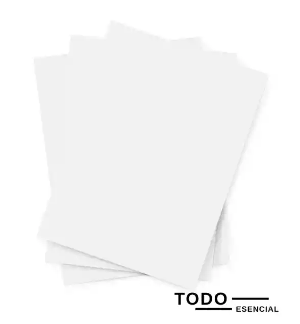Cartulina Blanca 1/8 Octavo Bristol X 10 Hojas
