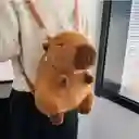Maleta Mochila Peluche Osito Capibara