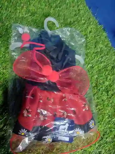 Disfraz Mariquita Talla S *orma Pequeña*