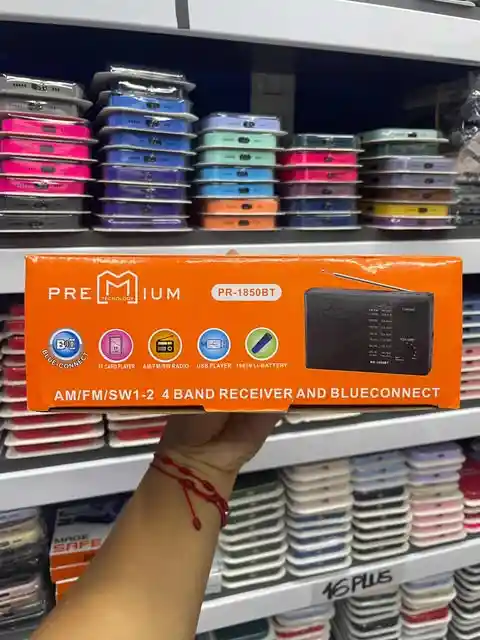 Radio Am, Fm Y Sw1-2 | Radio 4 Bandas | Entrada Usb Y Tf Player | Bluetooth Conection | Incluye Control Remoto Y Correa