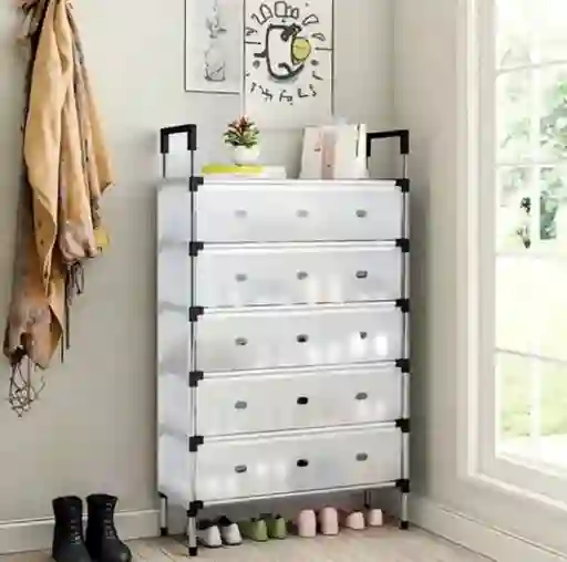 Zapatero 6 Niveles Con Tapa Organizador