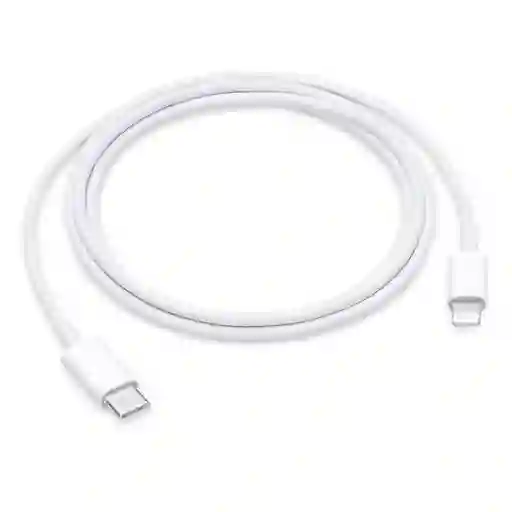 Cable Original Iphone Tipo C A Lightning