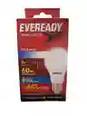 Bombillo Eveready Led Luz Blanca 8w - 60w Incandescente