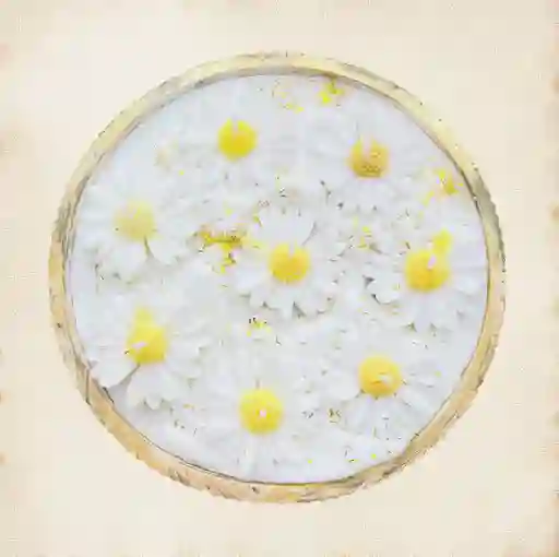 Vela Jardin De Margaritas - Vela Aromatizante Y Decorativa