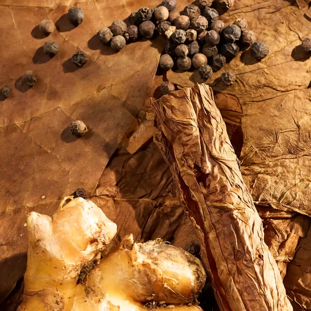 Dendur Eau De Parfum