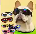 Gafas Para Mascotas