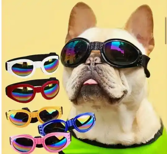 Gafas Para Mascotas
