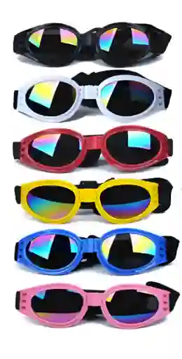 Gafas Para Mascotas