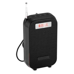 Radio Parlante Nano-tec Nt-r2460 Portátil Recargable, Fm, Usb, Sd, Bluetooth