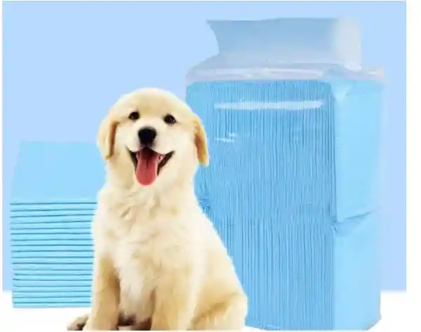 Pañal Desechable Grueso Absorbente Para Mascotas 60*60cm