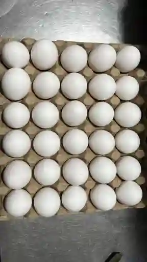 Huevos Tipo A