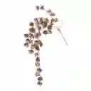 Rama Santini Cobre Plastico