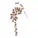 Rama Santini Cobre Plastico